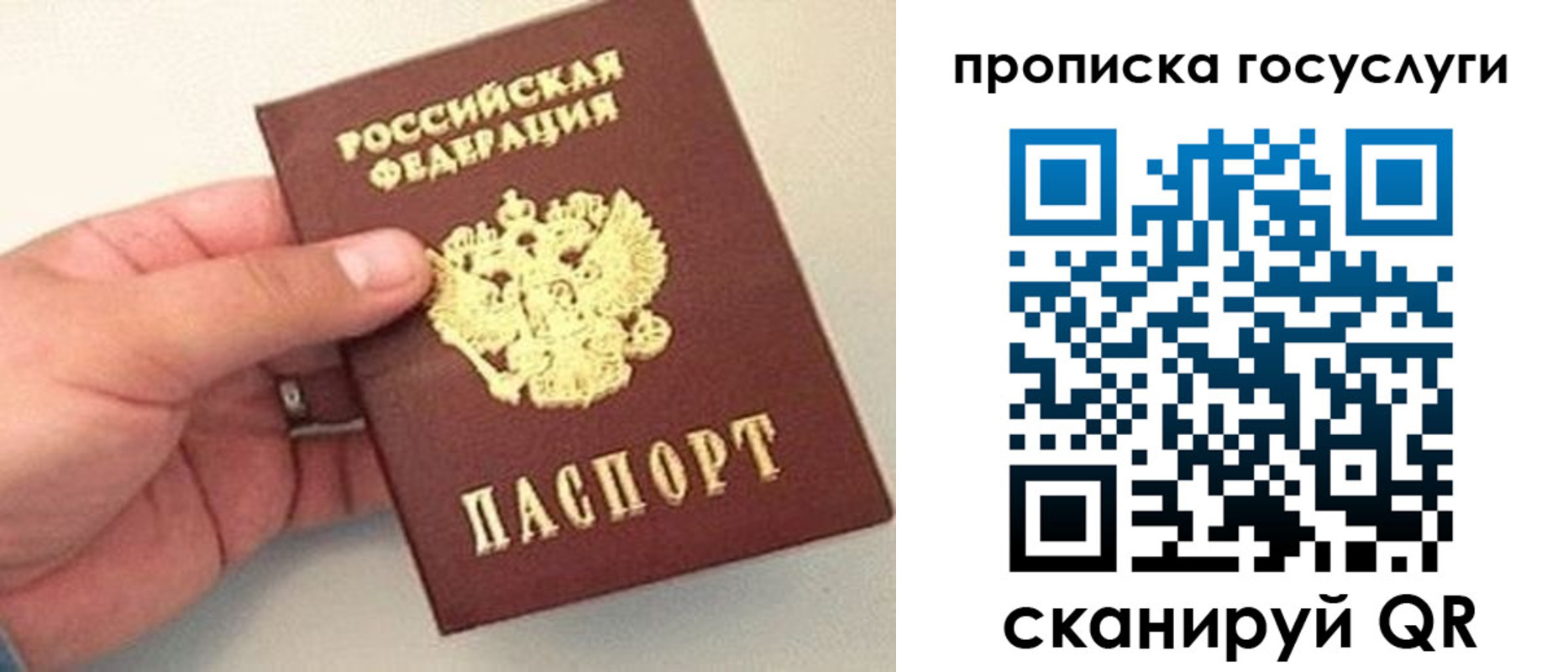 где прописаться в Колпашево